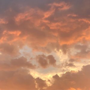 Leia mais sobre o artigo A presença de Deus em toda nossa Jornada: Olhos para ver e ouvidos para ouvir.